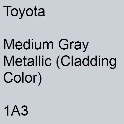 Toyota, Medium Gray Metallic (Cladding Color), 1A3.